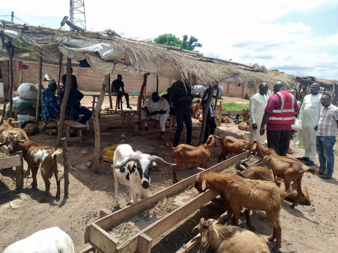 Abia Govt to convert cow dung to biogas at Lokpanta Cattle market