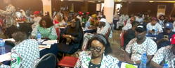 NANNM advocates funding and workable solutions to safeguard nurses and midwives