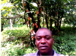 Team of Nigerian scientists innovates the development of fertilizers to boost cocoa production in Nigeria