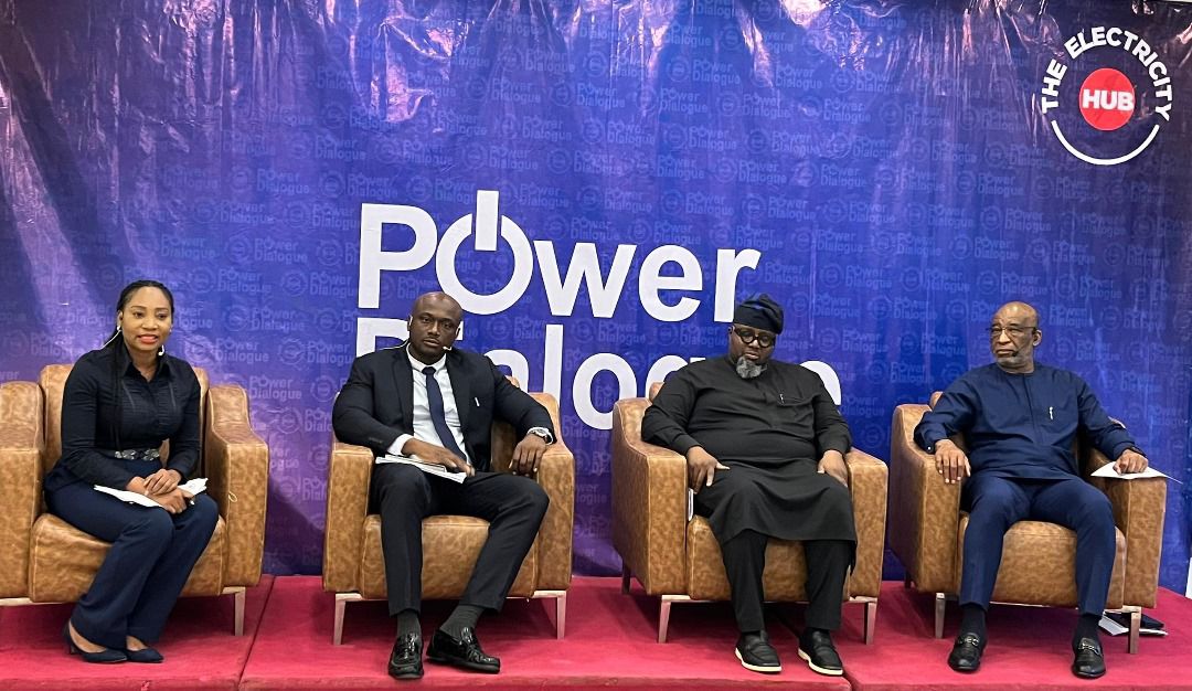 Energy crisis: Experts call for decentralization of grid, mini-grid across regions