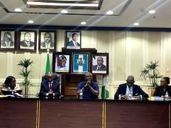 Audit panel flags legal risks in Nigeria’s gas projects