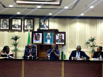 Audit panel flags legal risks in Nigeria’s gas projects