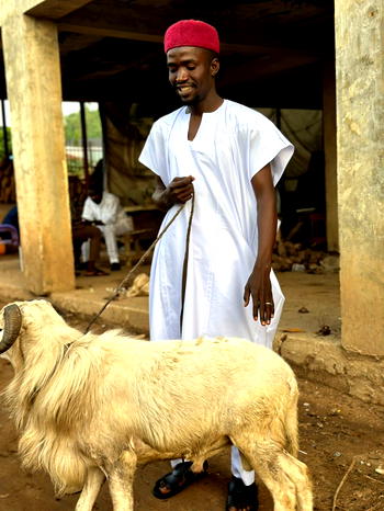 Tinubu loyalist donates Sallah Ram in appreciation for Kolmani Oil license