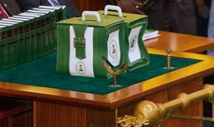 How NASS inserted 11,122 projects worth N6.93trn in 2025 budget – BudgIT
