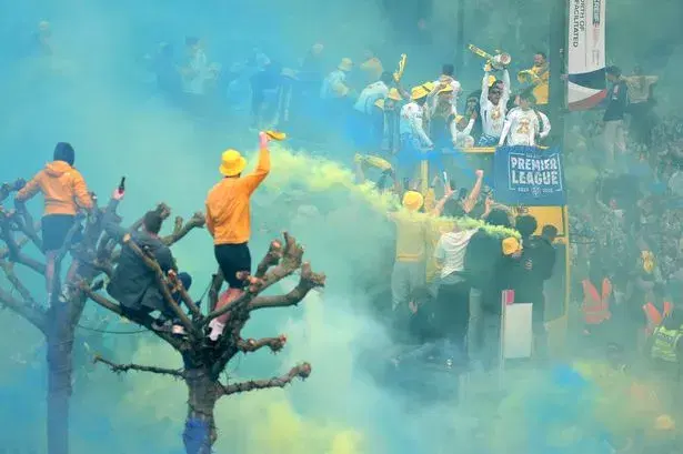 Football fan in coma after falling from tree celebrating club’s victory