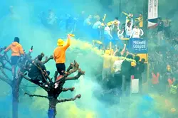 Football fan in coma after falling from tree celebrating club’s victory