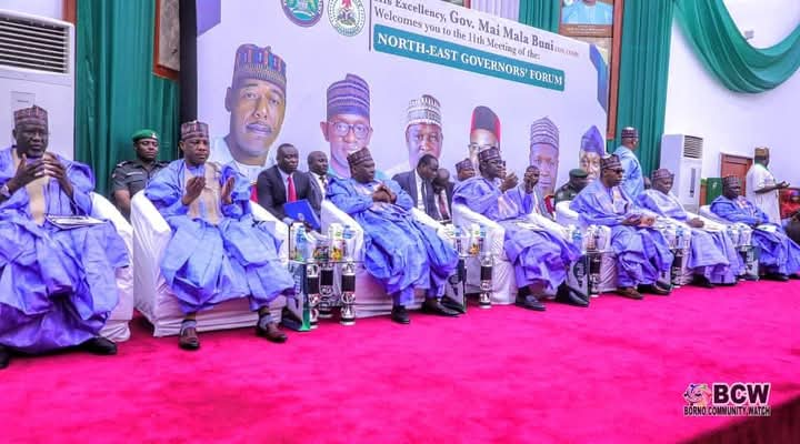 Buni hosts NEGF in Yobe to deliberate issues related to insecurity, development