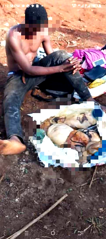 25-yr-old man nabbed in Lagos while transporting human organs for rituals