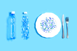 Microplastics hazards: Avoid processed, packaged foods — Experts warn Bauchi residents