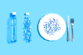 Microplastics hazards: Avoid processed, packaged foods — Experts warn Bauchi residents