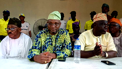 APC Lagos LG Primary: Council Party leaders fault imposition claim