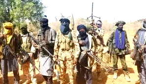 Insecurity: Bandits feed our babies to their dogs — Zamfara lawmaker