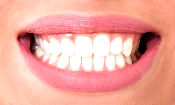 Ancient Origins of Teeth: New study traces their evolution to sensory functions
