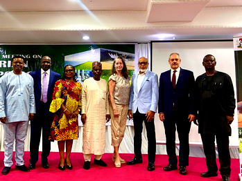 Nigeria moves to lead Africa’s green hydrogen future