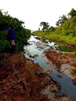 Fresh oil spill rocks Bayelsa community