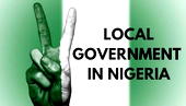 Curing the chaos of our Local Government system