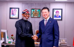 China to establish electric vehicle factories in Nigeria – Envoy