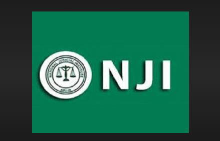 We must remain mindful of vulnerabilities faced by women, children – NJI