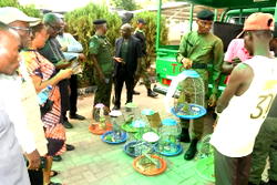 Three arrested in Abuja over illegal trade in endangered species