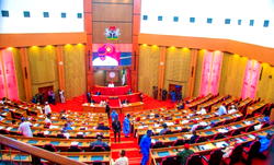 Are women senators together?