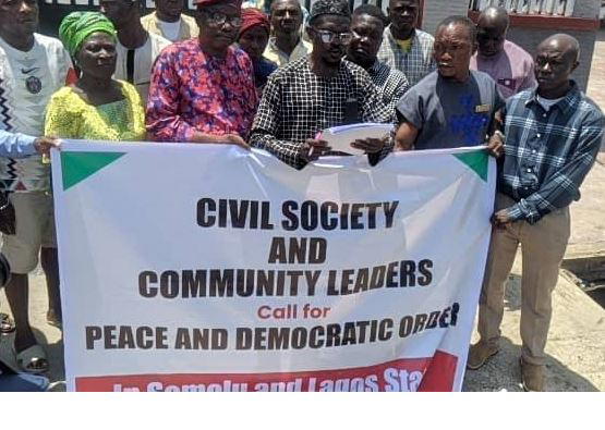 Somolu APC primaries were free, fair — Civil society groups declare