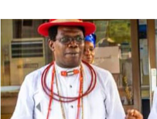 INEC lacks constitutional power to delineate, re-delineate electoral wards – Ariyo