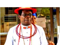 INEC lacks constitutional power to delineate, re-delineate electoral wards – Ariyo