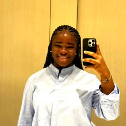 FBI arrests Nigerian ‘tech-queen’, faces possible 20-year sentence
