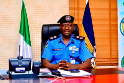 Police arrests 210 suspects for illicit drugs, other crimes in Borno