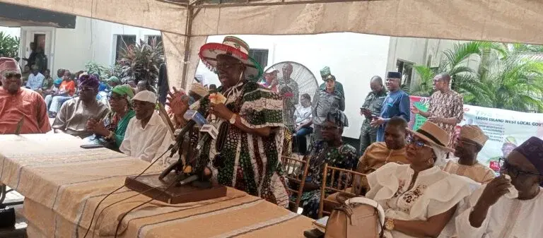 LG Polls: Bode George canvasses votes for PDP as party unveils candidates
