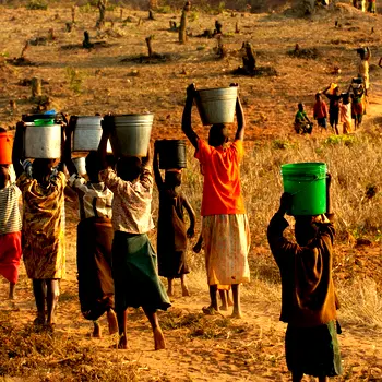 138 million children engaged in child labour in 2024 – ILO