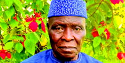 Ex-Kwara gov Cornelius Adebayo dies at 84