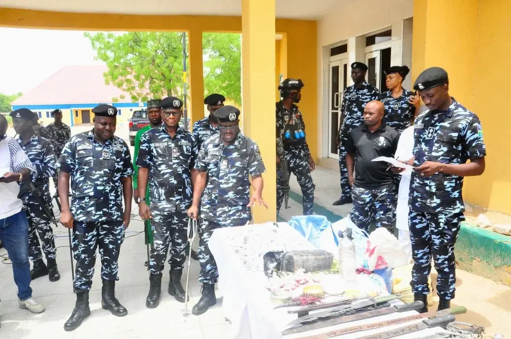Police arrest 210, seize drugs, weapons in Borno