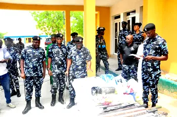 Police arrest 210, seize drugs, weapons in Borno