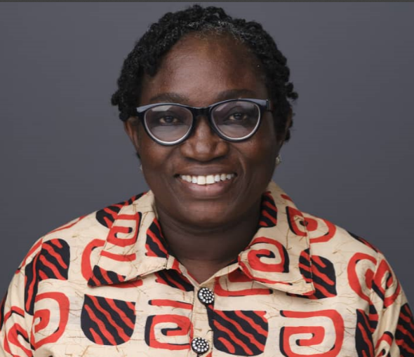 Grand Challenges Nigeria awards grants for 10 transformative health innovations