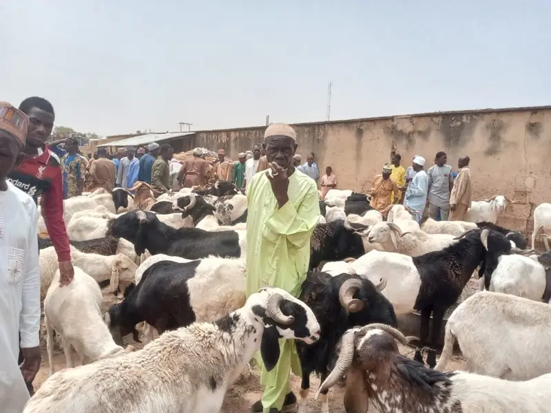 Sallah: Ram dealers complain of low patronage amid short supply 
