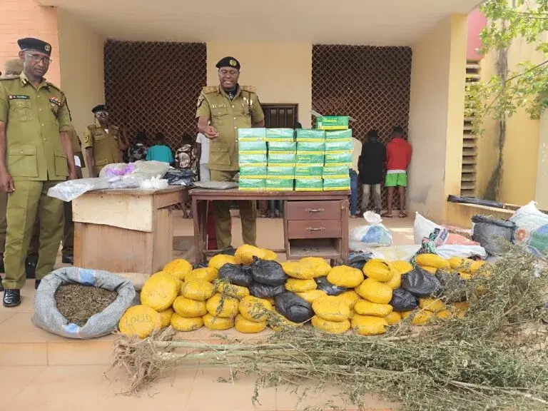 NDLEA seizes N777m worth of illicit drugs in Edo