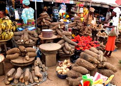Africa’s food crisis deepens as climate extremes batter Nigeria