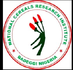 Research Institute produces Africa’s first Zinc-Biofortified rice seeds