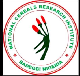 Research Institute produces Africa’s first Zinc-Biofortified rice seeds