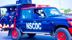 Village head, 33 others arrested over illegal mining in Niger