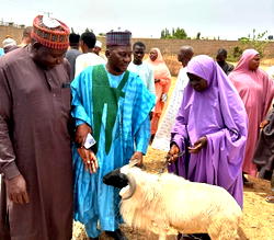 Sallah: Pantami Foundation donates N66m, 162 animals to underprivileged in Gombe, Abuja