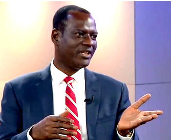 My wife held vigils for me over tax reforms – Oyedele
