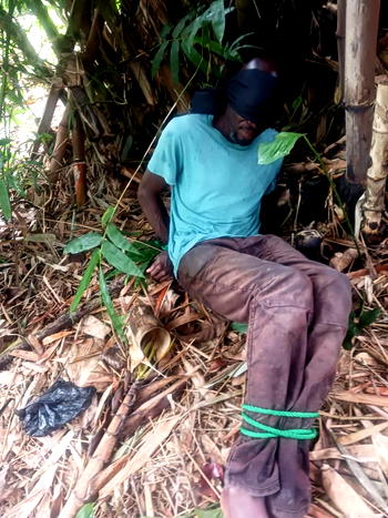 New crime tactic alarms Imo residents as victim survives suspected kidnap for organ harvest