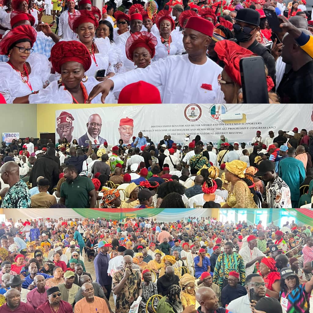2027: Delta North APC passes vote of confidence in Tinubu, Oborevwori, Nwoko
