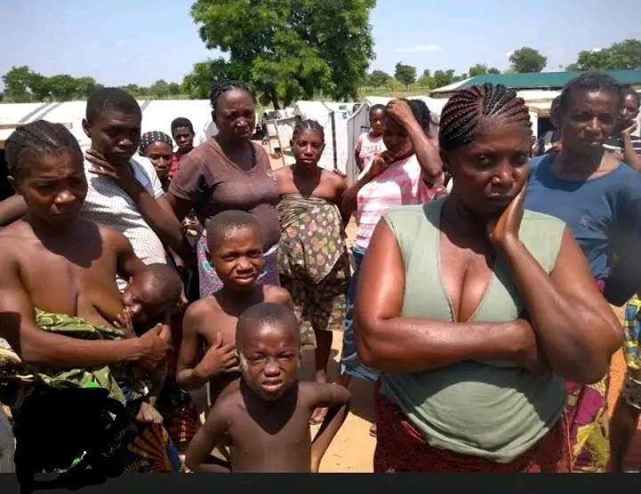 Yelewata Massacre: Benue indigenes in diaspora write Tinubu, demand end to killings