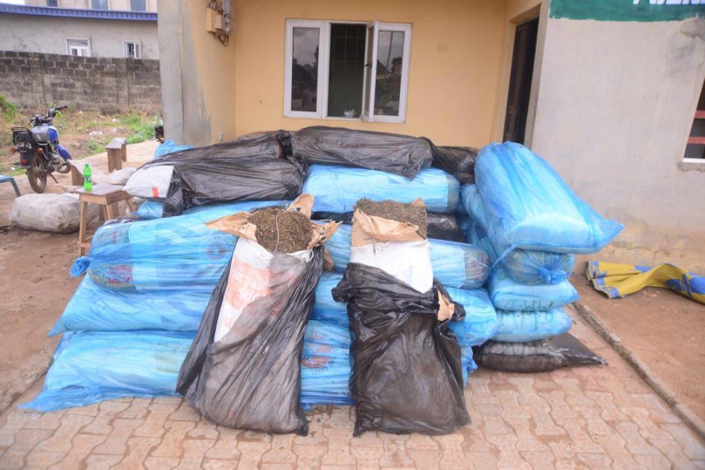 Ondo Police arrest 17-year-old, one other for alleged drug trafficking