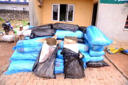 Ondo Police arrest 17-year-old, one other for alleged drug trafficking