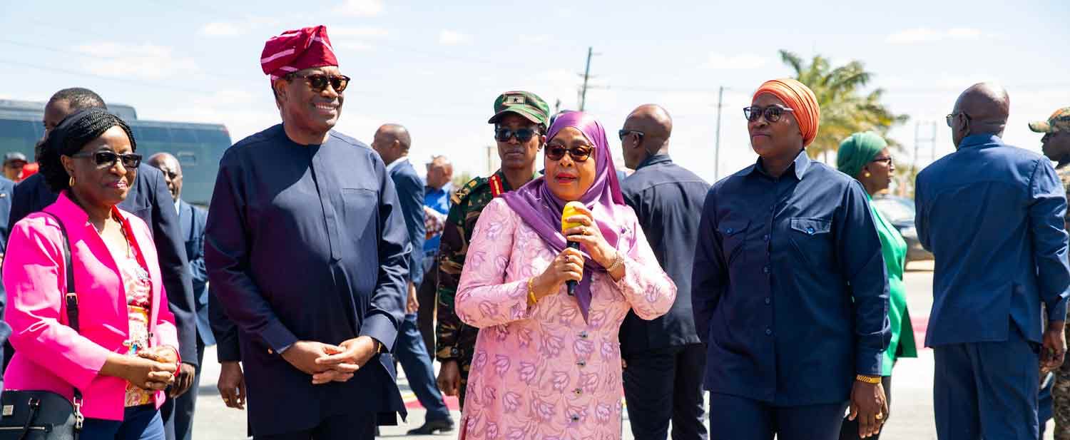 ‘You’re a visionary leader’ – Tanzania President celebrates Adesina’s impactful legacy at AfDB