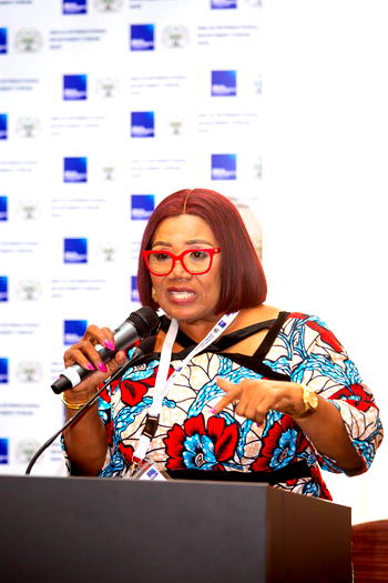 Abuja Investment Summit in London wows foreign investors